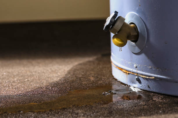 Best Residential water damage restoration  in Union Springs, NY