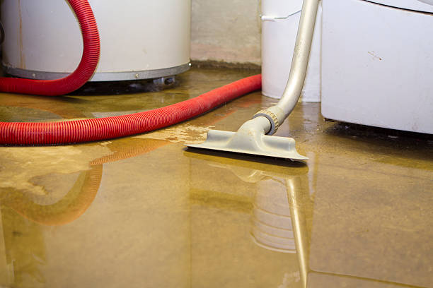 Best Water damage contractors near me  in Union Springs, NY