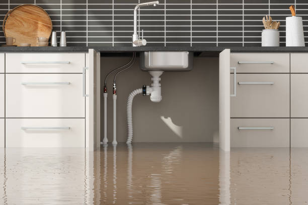 Best Water damage restoration insurance claims  in Union Springs, NY